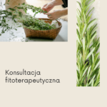 Konsultacja fitoterapeutyczna