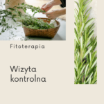 Wizyta kontrolna